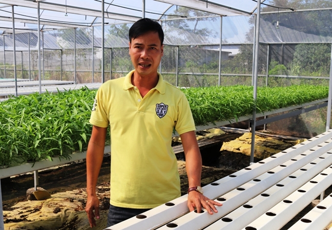 Hà Giang Chị Thêm làm giàu thành công từ mô hình trồng cây hồng xiêm xoài   Cổng Thông Tin Hội Liên hiệp Phụ nữ Việt Nam